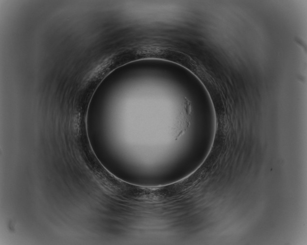 X0000093760735200710161222