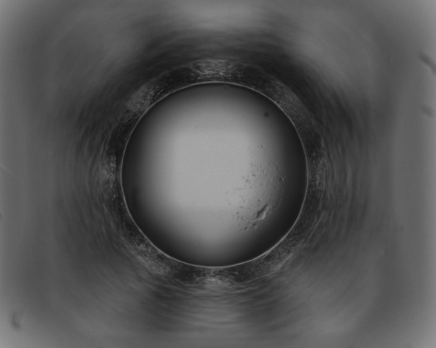 X0000093760737200710161222