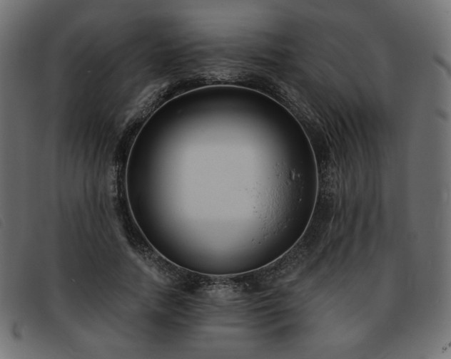 X0000093760738200710161222