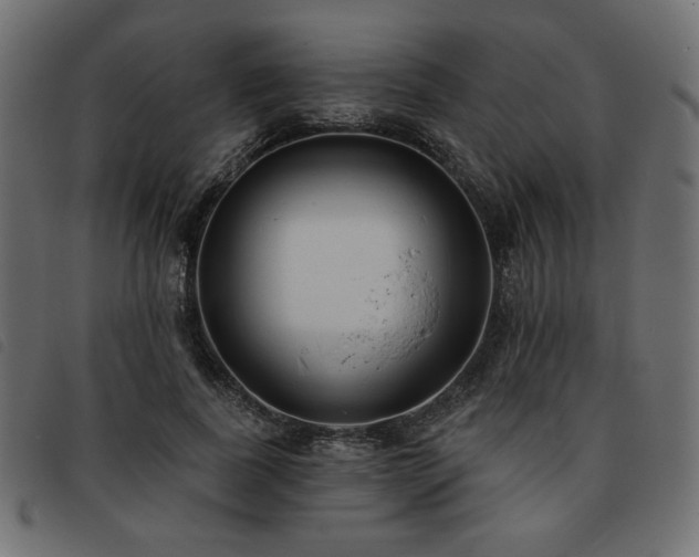 X0000093760739200710161222