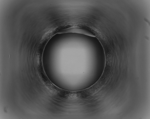 X0000093760740200710161222
