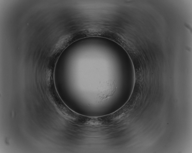 X0000093760742200710161222