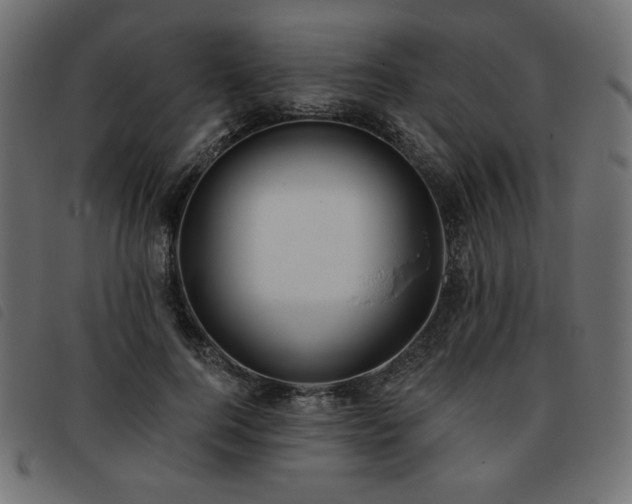 X0000093760744200710161222