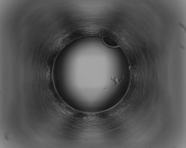 X0000093760745200710161222