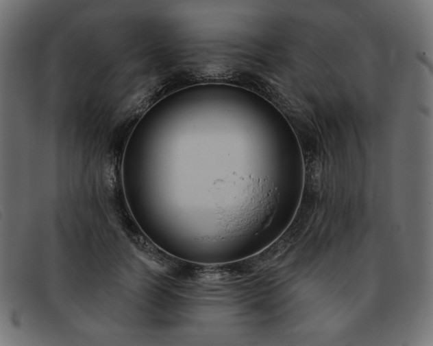 X0000093760746200710161222