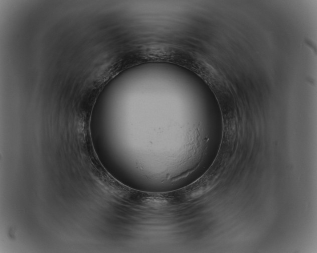 X0000093760749200710161223
