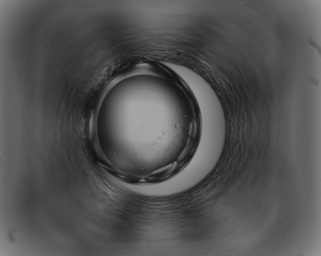 X0000093760750200710161223