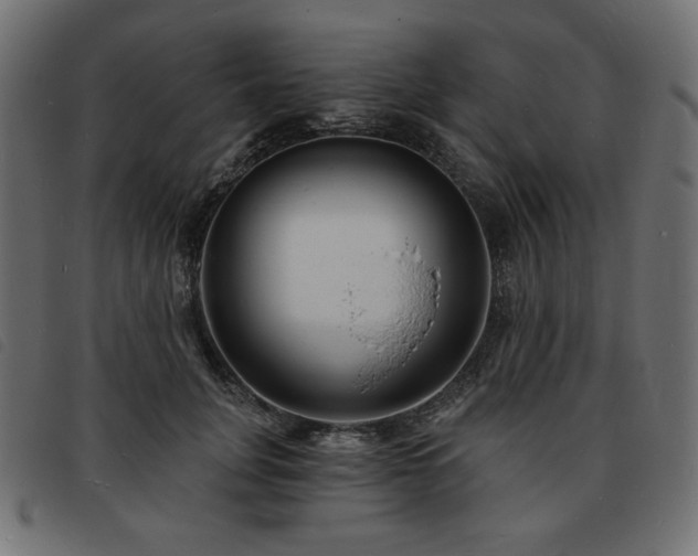 X0000093760751200710161223