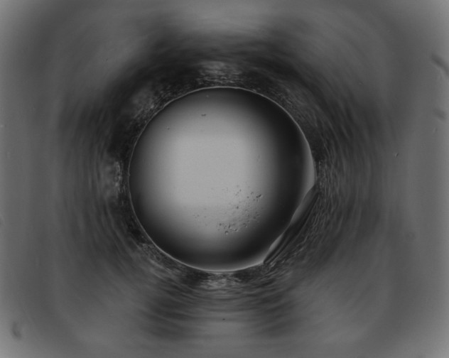 X0000093760752200710161223