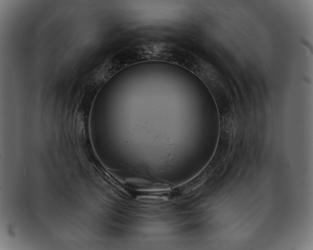 X0000093760754200710161223