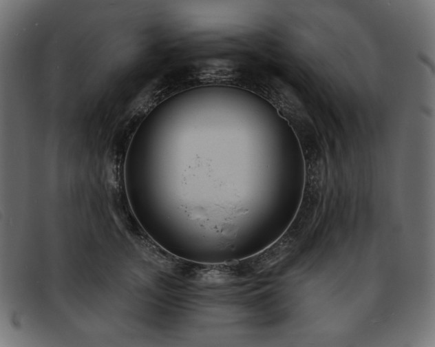 X0000093760755200710161223