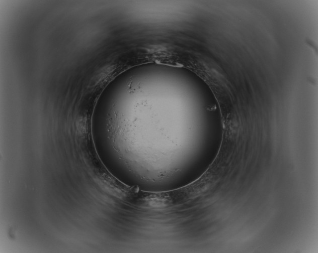 X0000093760756200710161223