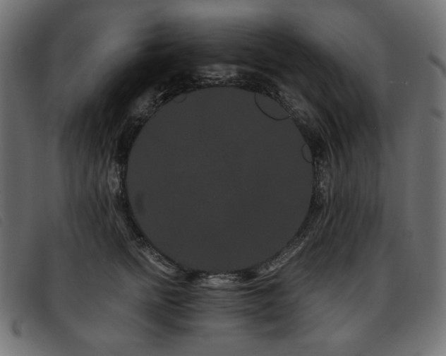 X0000093760758200710161223