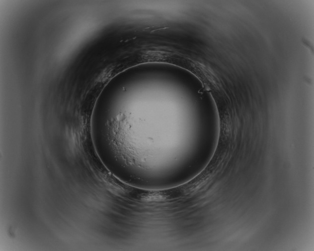 X0000093760759200710161223