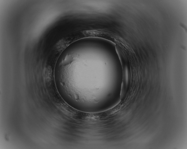 X0000093760760200710161223
