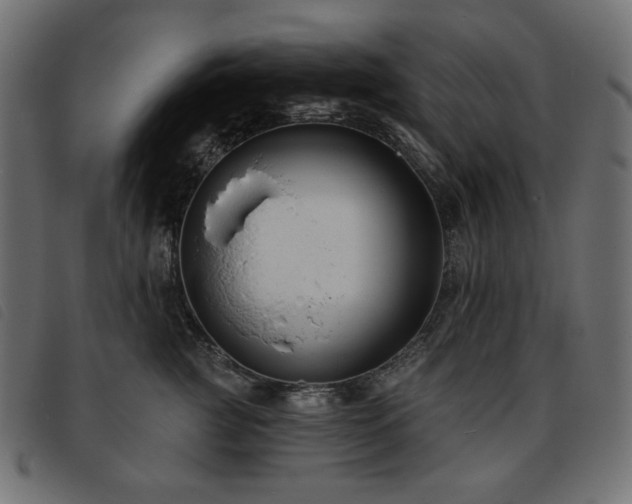 X0000093760761200710161223