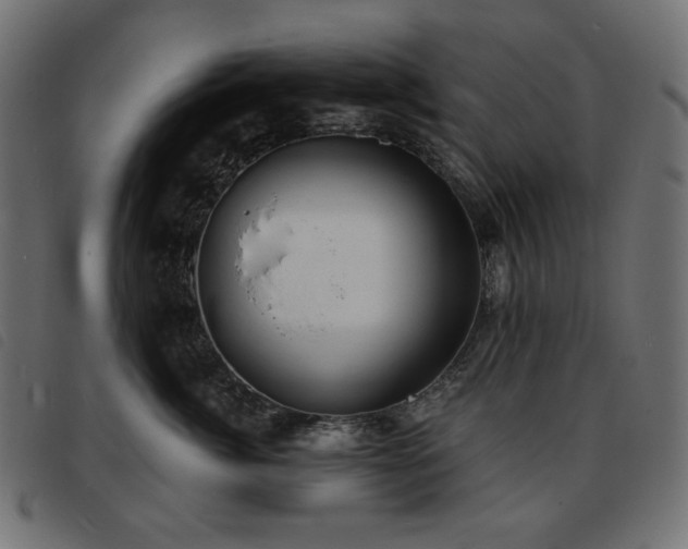 X0000093760764200710161223