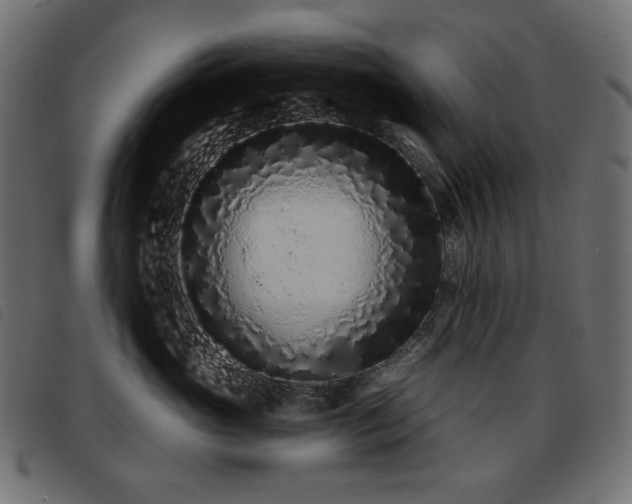 X0000093760765200710161223