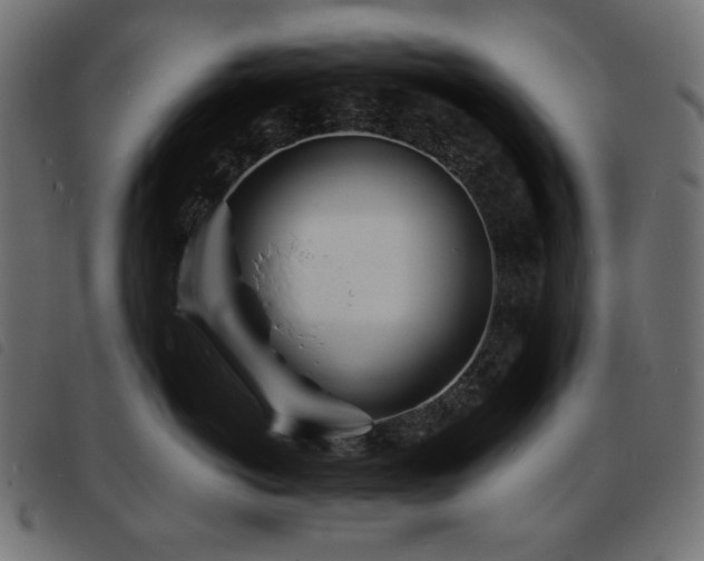 X0000093760766200710161223