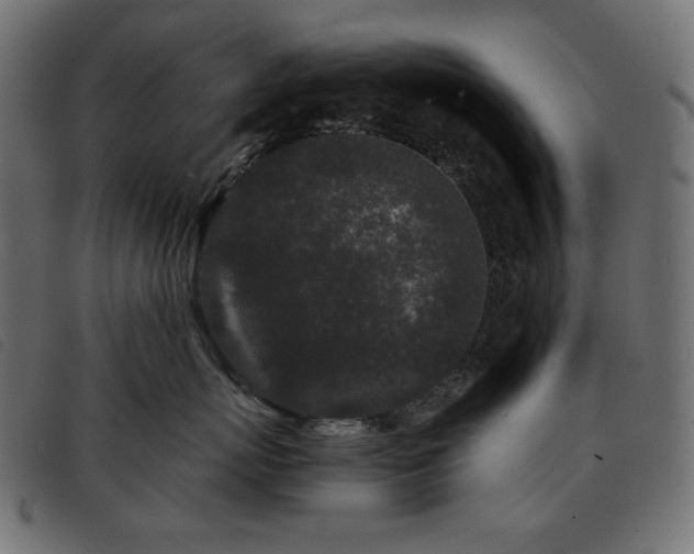 X0000093760767200710161223