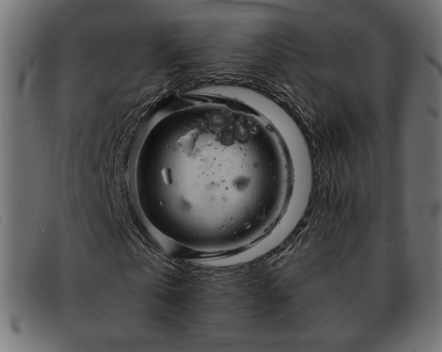 X0000093760769200710161222
