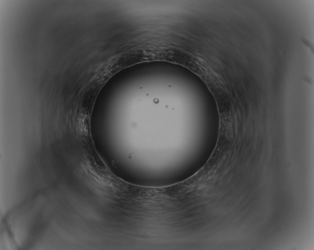 X0000093760770200710161222