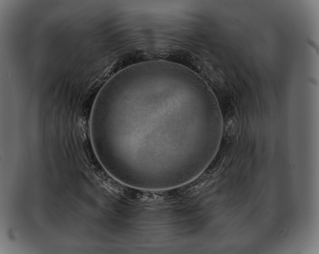 X0000093760772200710161222