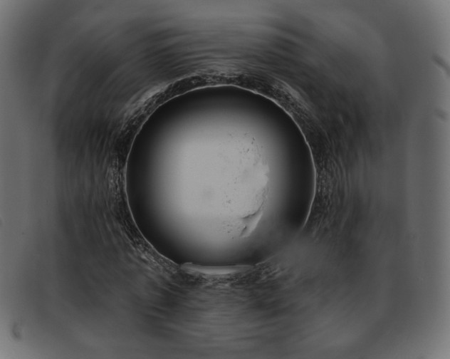 X0000093760773200710161222