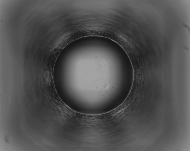 X0000093760774200710161222