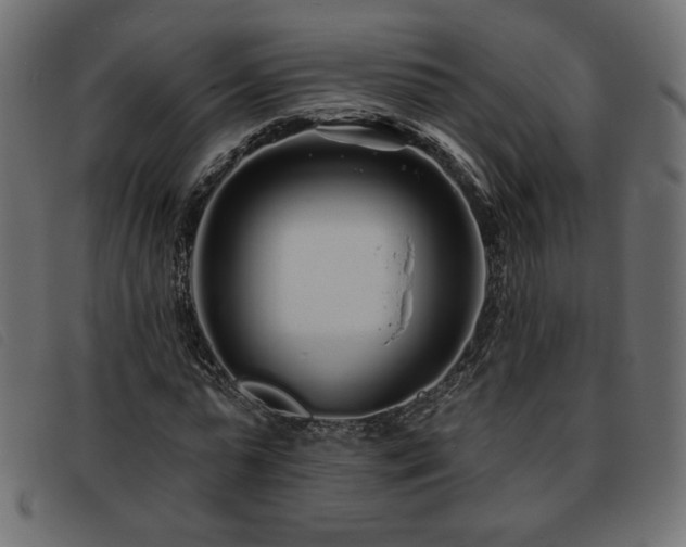X0000093760775200710161222