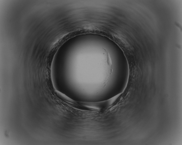 X0000093760776200710161222