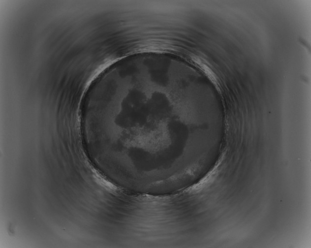 X0000093760779200710161222