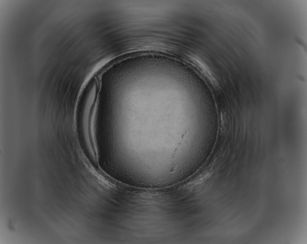 X0000093760780200710161222