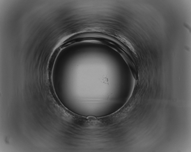 X0000093760784200710161222