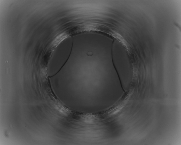 X0000093760785200710161222