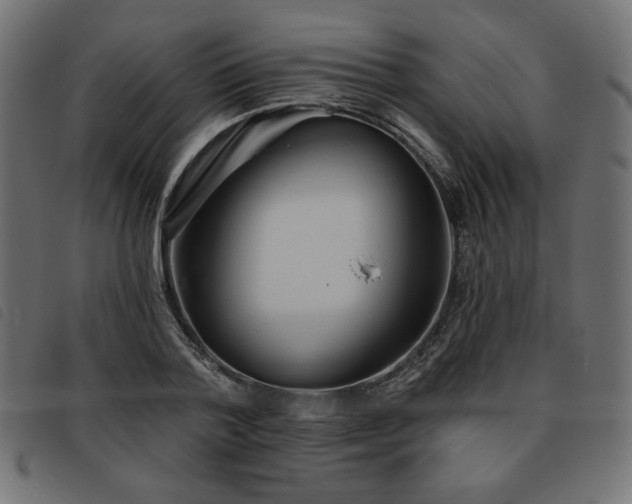 X0000093760788200710161222