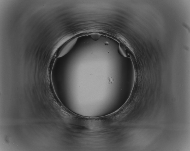 X0000093760789200710161222