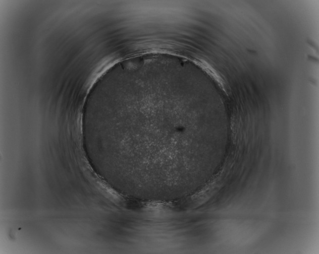 X0000093760790200710161222