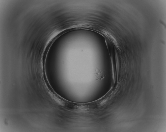 X0000093760792200710161222