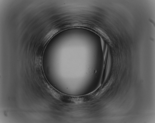 X0000093760793200710161222