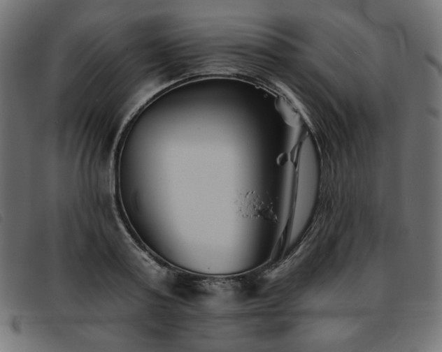 X0000093760795200710161222