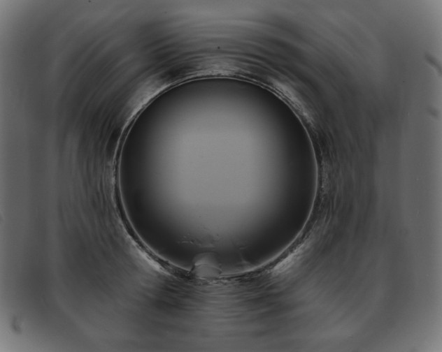 X0000093760802200710161222