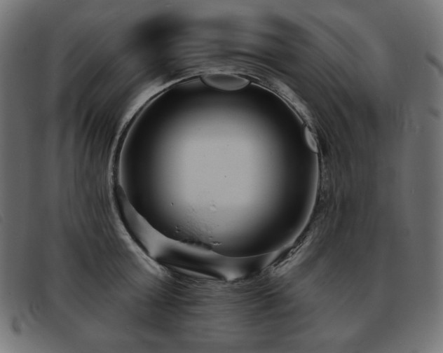 X0000093760803200710161222