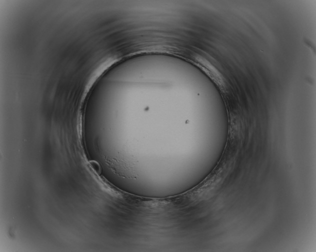 X0000093760804200710161222