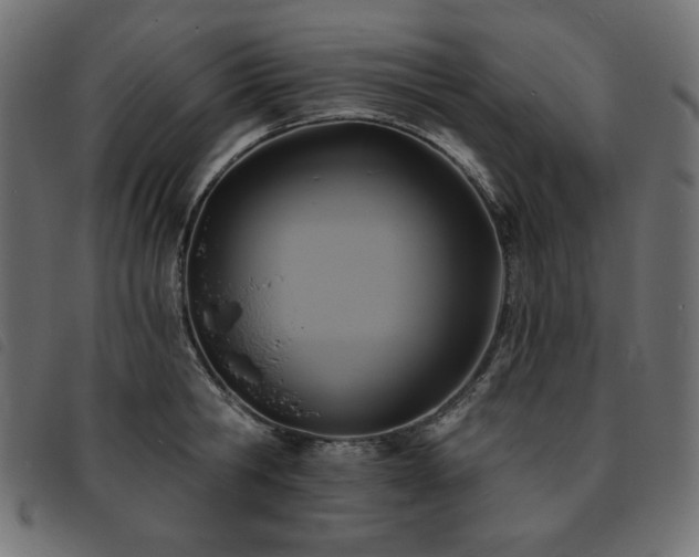 X0000093760806200710161222