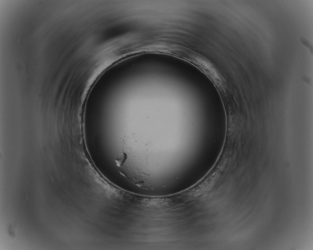 X0000093760808200710161222
