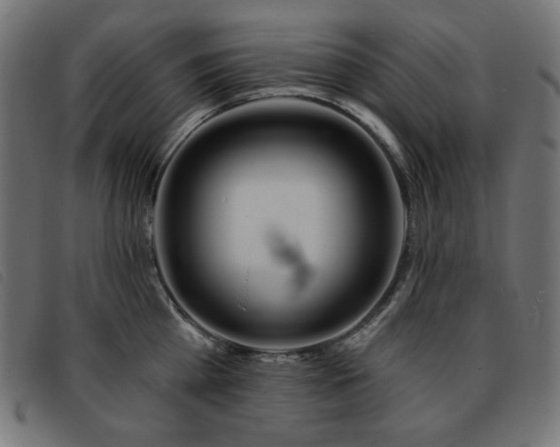 X0000093760809200710161222