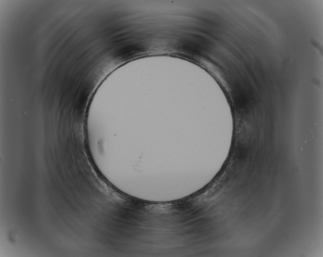 X0000093760810200710161222