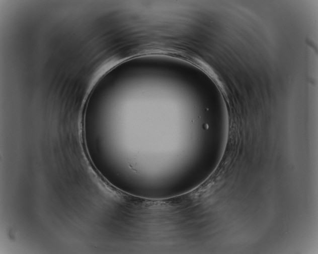 X0000093760811200710161222