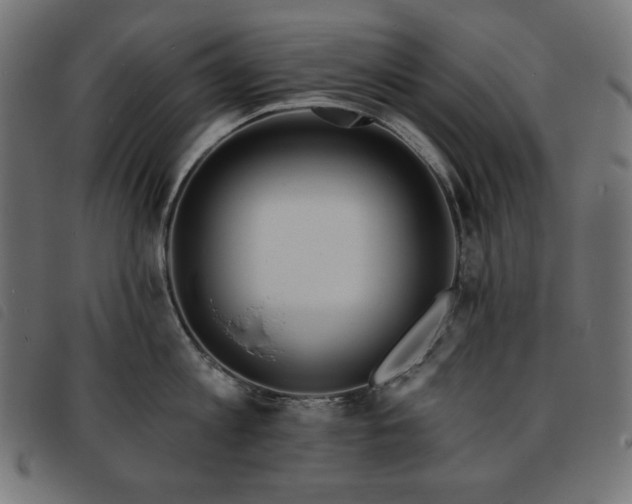 X0000093760813200710161222